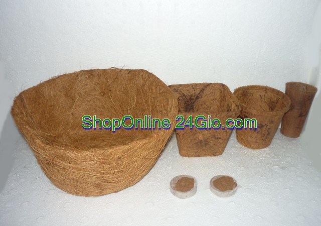 tham-chui-chan-xo-dua-chi-xo-dua-tham-my-nghe-dua-rich-co-co-chau-xo-dua-chau-treo-xo-dua-vien-nen-xo-dua-chau-hoa-bang-xo-dua-5